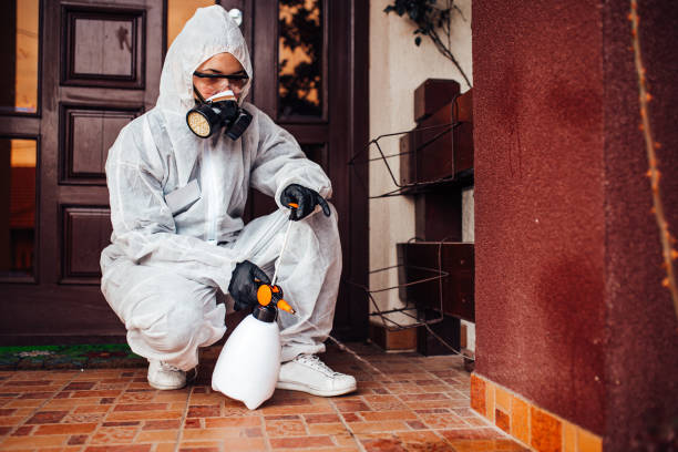 Reliable Ant Control contractor in Concord, VA by Show Me Pest Control